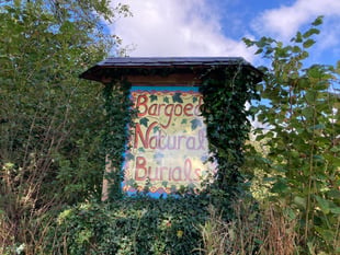 Natural burials: The west Wales woodland where 50 people are buried