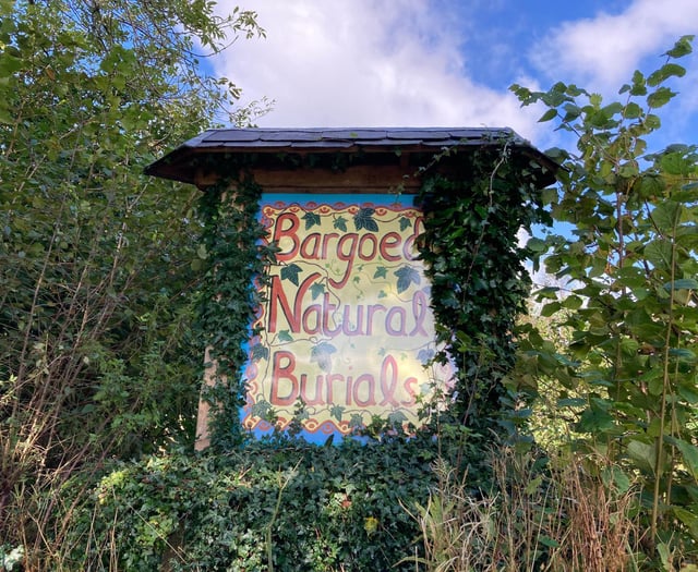 Natural burials: The west Wales woodland where 50 people are buried