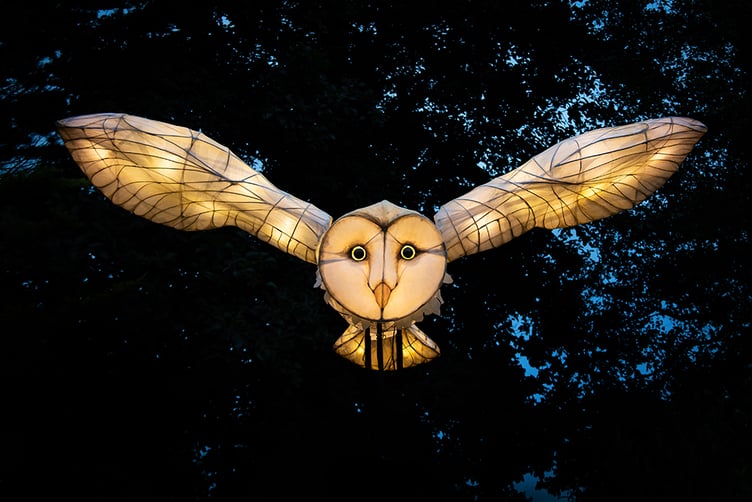 A magnificent owl lantern from Small World Theatre