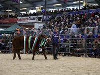Thousands celebrate festive fun at Winter Fair