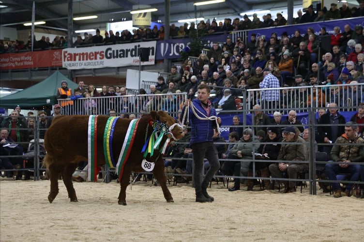 Winter Fair