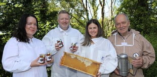 Llandre Bee Farm ‘buzzing’ as wild honey lands on Co-op shelves