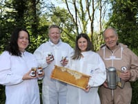 Llandre Bee Farm ‘buzzing’ as wild honey lands on Co-op shelves