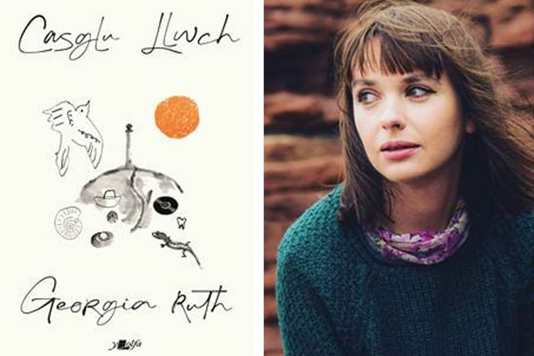 Casglu Llwch gan Georgia Ruth
