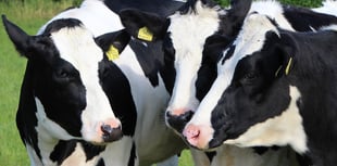 NFU Cymru reacts to US-UK trade agreement