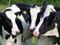 Farm worker attacked woman in row over power washer