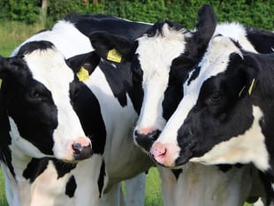 Farm worker attacked woman in row over power washer