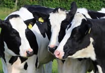 NFU Cymru reacts to US-UK trade agreement