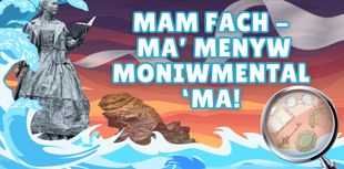 Theatre Felinfach ready to welcome panto and 50 Shêds o Santa Clôs