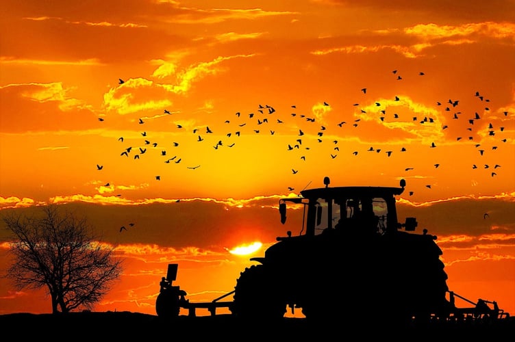 Farming
