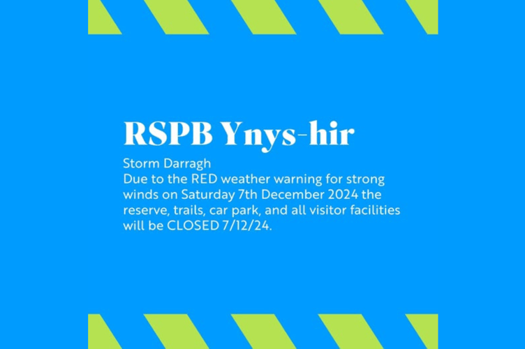 RSPB Ynys-hir will be closed on Saturday 7 December due to Storm Darragh