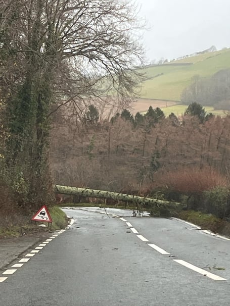 A fallen tree blocks the A487 near Bow Street