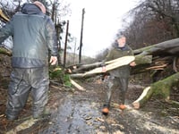 MPs call for 'urgent review' to avoid future storm disruption