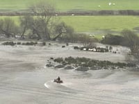 Storm Darragh brings out best in people