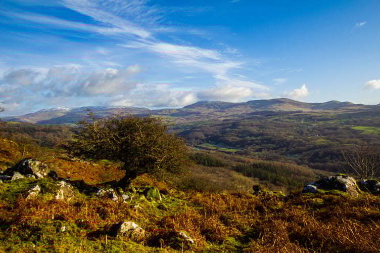 Foel Offrwm. Photo: Eryri National Park Authority