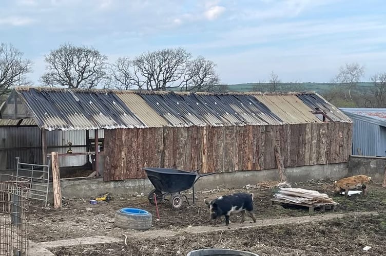 The shelter before the damage