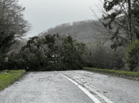 Powys 'determined' to improve storm response