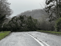 Powys 'determined' to improve storm response