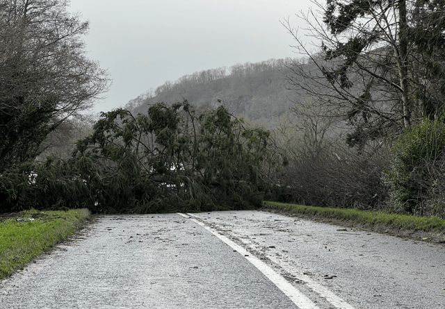 Powys 'determined' to improve storm response