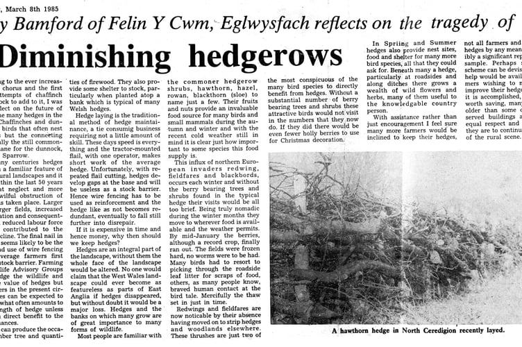 One of Roy's articles