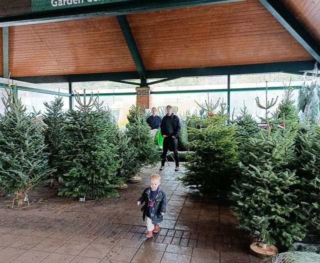 Bont family farm brings Christmas cheer to west Wales