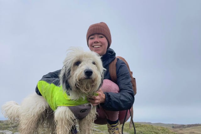 Therapy dog will spread Christmas cheer in Tywyn