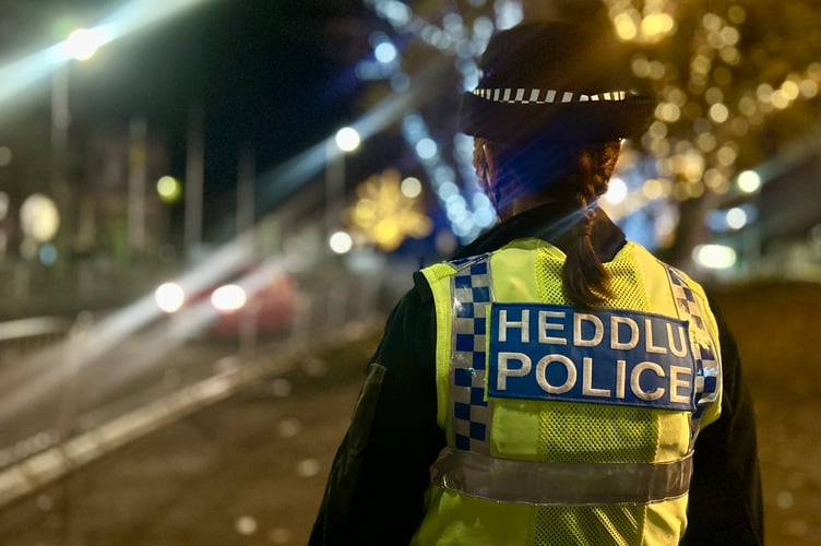 Dyfed Powys police night