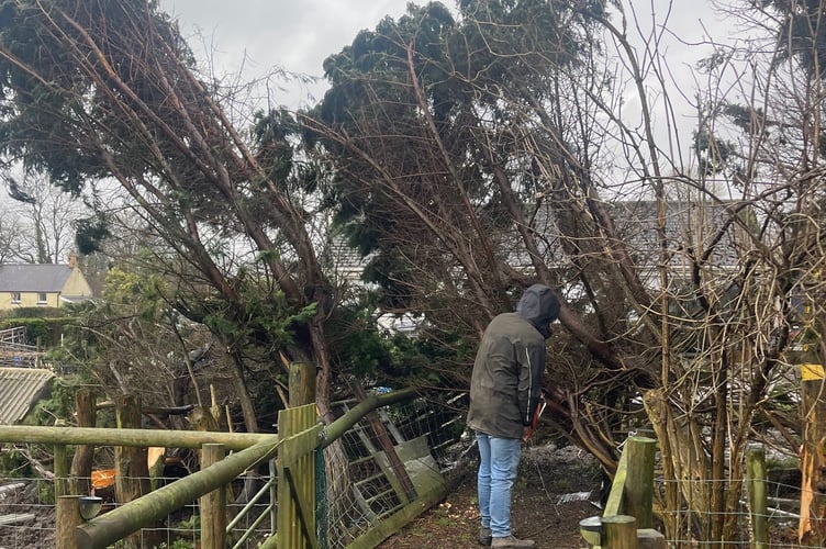 Damaged fencing from storm Darragh which caused havoc across the country on 6 and 7 December