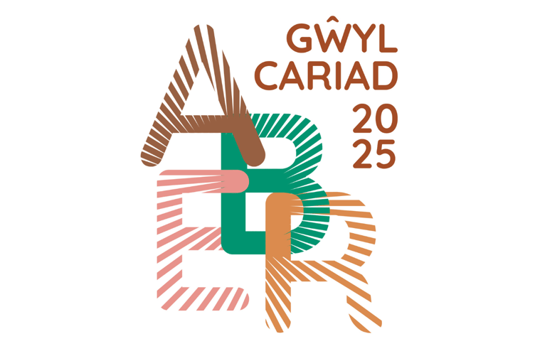 A new grassroots arts festival is coming to Aberystwyth this new year