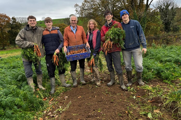 Holden Farm has returned to growing carrots after 18 years thanks to a Welsh veg in schools initiative