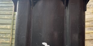 Monthly bin collections 'not a silver bullet' to raise recycling rates