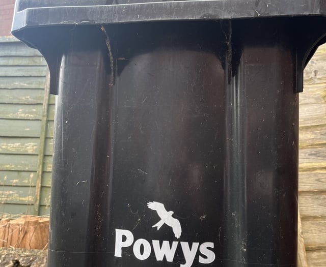 Monthly bin collections 'not a silver bullet' to raise recycling rates