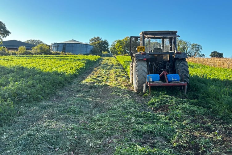 The farm had to borrow equipment from friends and neighbours to make their return to carrots possible