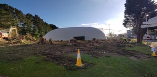 Aber Uni staff "heartbroken" to see healthy trees felled after storm