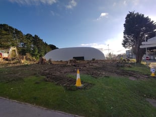 Aber Uni staff "heartbroken" to see healthy trees felled after storm
