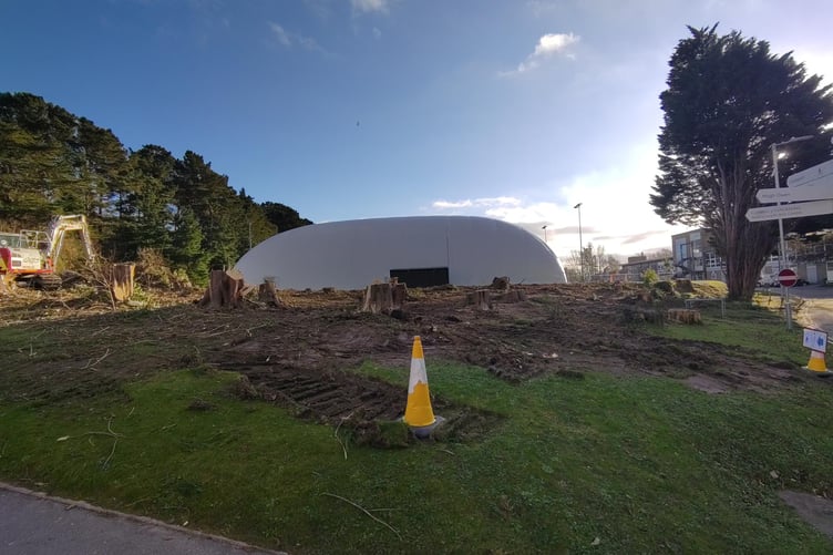 An estimated 30 trees were felled on Aberystwyth University campus including several that were healthy and unaffected by Storm Darragh