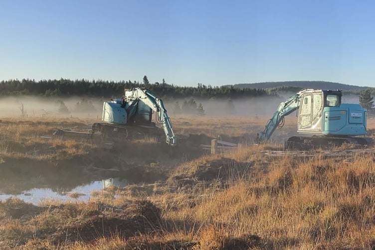 Welsh Government peatland
