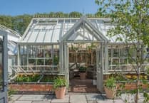 Trends for greenhouses in 2025