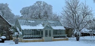 Organising your greenhouse for 2025