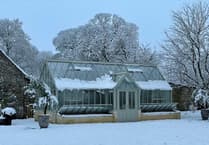 Organising your greenhouse for 2025