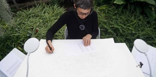 Aberystwyth artist featured at London exhibition