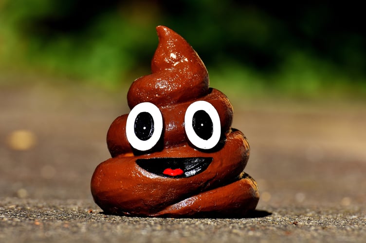 A man was fined after leaving dog poo in a public council area