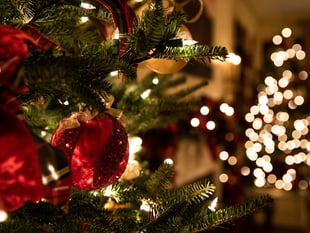 Tom Jones tribute to switch on Harlech Christmas lights