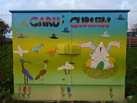 Powys school transforms broadband box into art for declining curlews