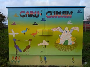 Powys school transforms broadband box into art for declining curlews