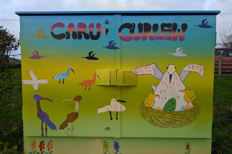 The newly painted BT Openreach box raising awareness of curlew species in Trefeglwys