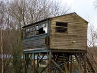 Osprey Project reveals plans for new hide for hard-to-spot creatures