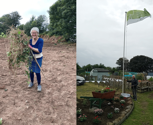 From Forgotten Field to Award-Winning Green Space