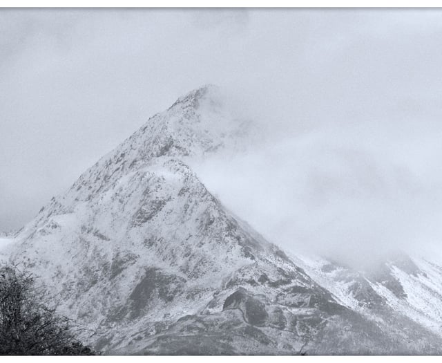 Cambrian News photography club members capture the new year