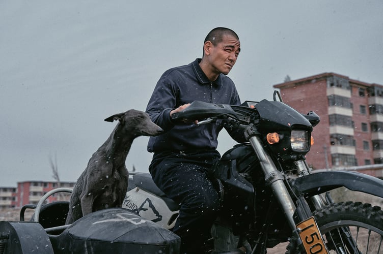 A scene from 'Black Dog'